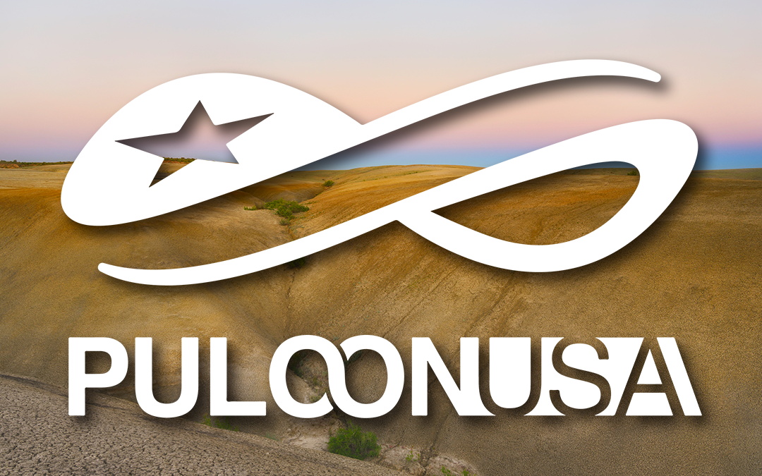 Boost Your New Mexico Business with Puloon ATMs: The Best Choice for Local Businesses